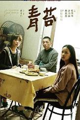 台湾版青苔