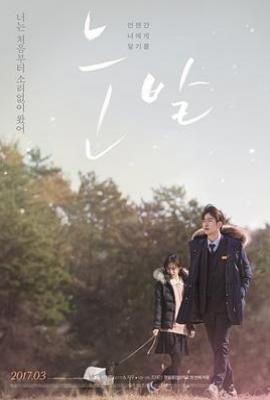 雪花 눈발