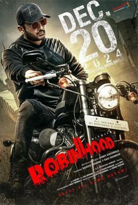 罗宾汉 Robinhood(2025)