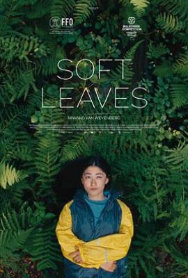 温柔的叶子 Soft Leaves