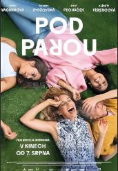 酒精计划 Pod parou(2025)