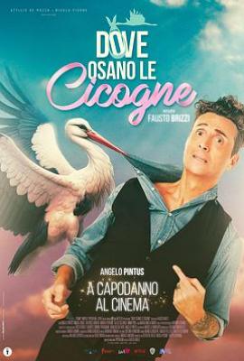 鸽子飞翔的地方 Dove osano le cicogne(2025)