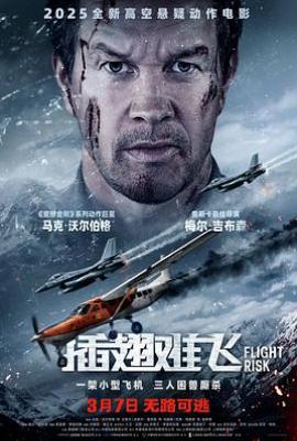 危险飞行 / 插翅难飞 Flight Risk(2025)