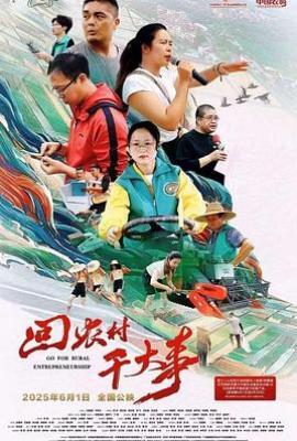 回农村干大事