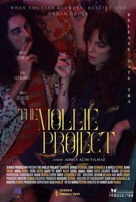 莫莉计划 The Mollie Project (2024)