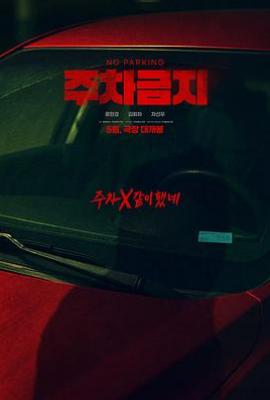 禁止停车 (2025)