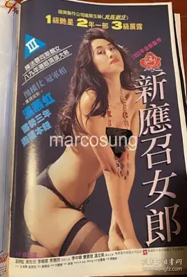 玫瑰夫人(1993)