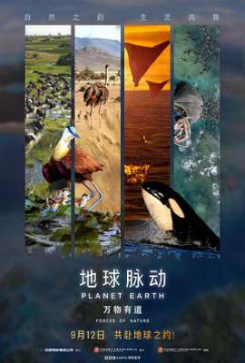 地球脉动：万物有道 (2025)