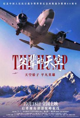 父辈的天空 (2025)