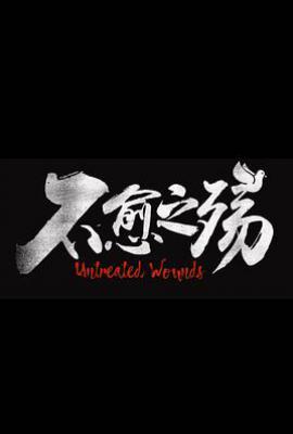 中东大宝荐2：不愈之殇 (2024)